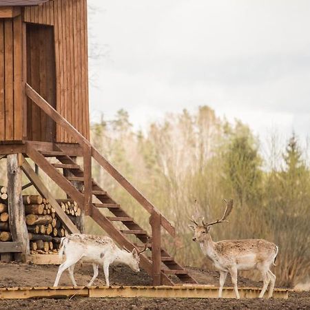 Arciau Gamtos Anyksciai Villa Kurkliai Bagian luar foto