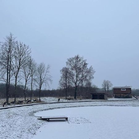 Arciau Gamtos Anyksciai Villa Kurkliai Bagian luar foto