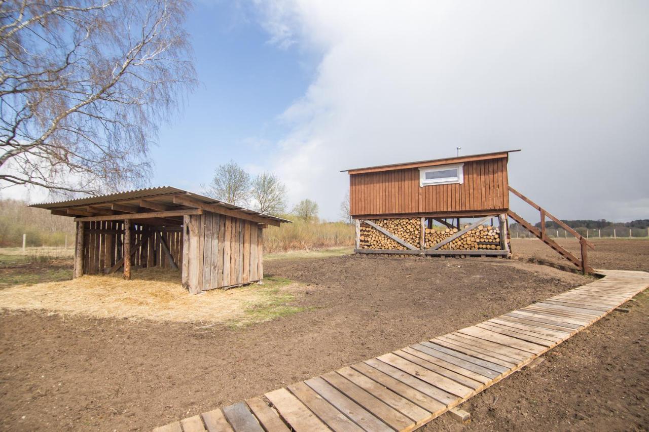 Arciau Gamtos Anyksciai Villa Kurkliai Bagian luar foto
