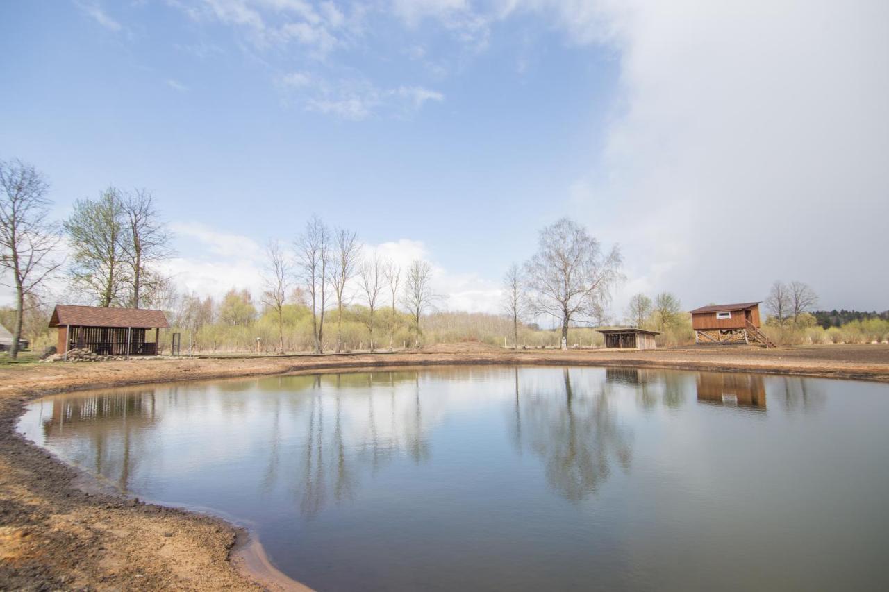 Arciau Gamtos Anyksciai Villa Kurkliai Bagian luar foto