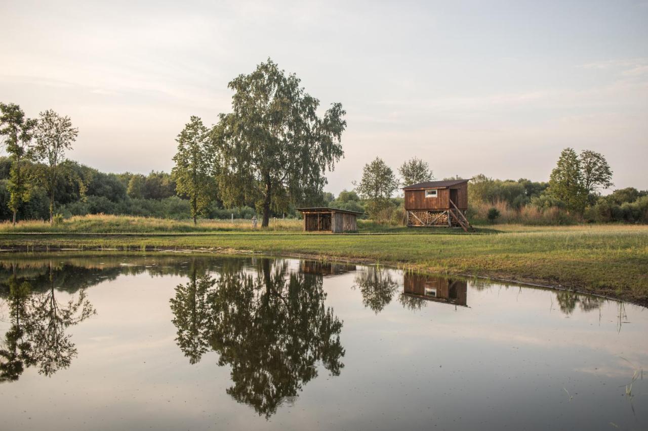 Arciau Gamtos Anyksciai Villa Kurkliai Bagian luar foto