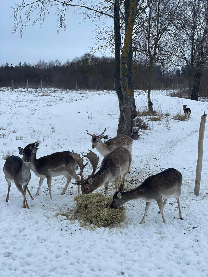 Arciau Gamtos Anyksciai Villa Kurkliai Bagian luar foto