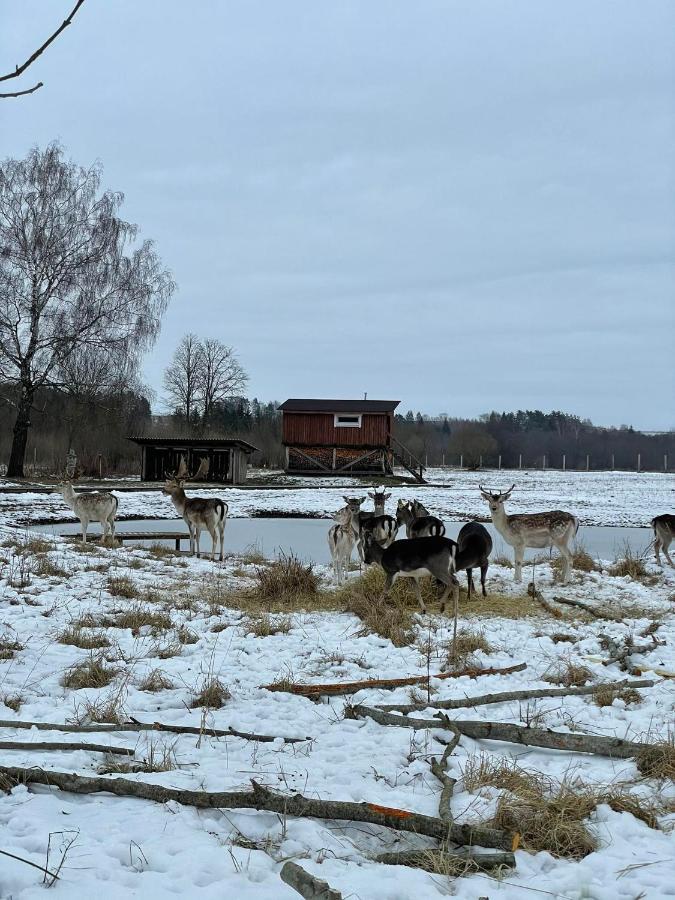 Arciau Gamtos Anyksciai Villa Kurkliai Bagian luar foto