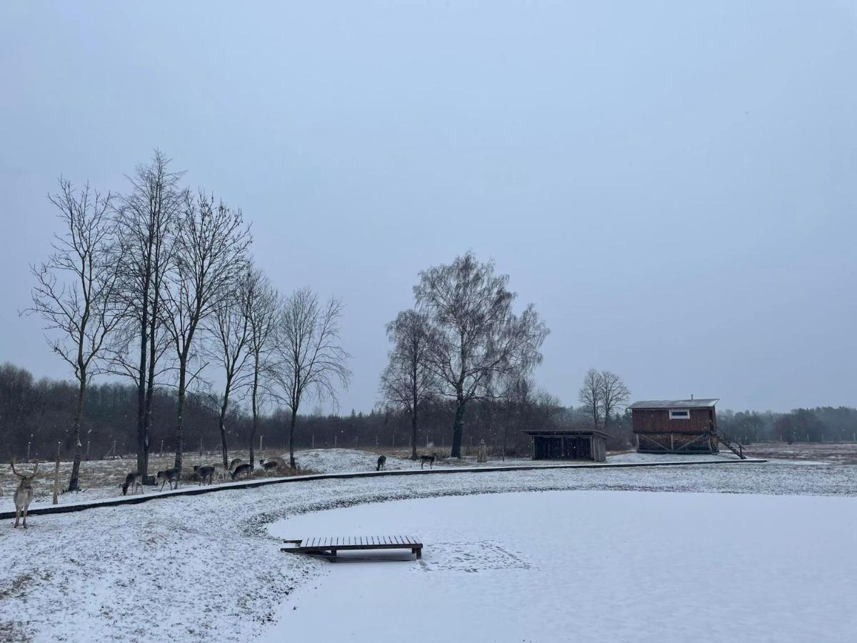 Arciau Gamtos Anyksciai Villa Kurkliai Bagian luar foto